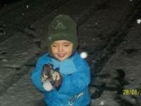 iannis