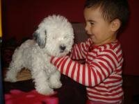 Mateo si Pufica :)