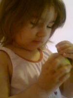 ysuca