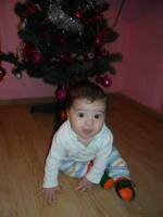stam in fundulet...