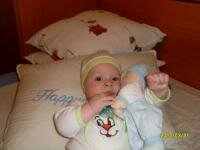 corni