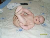 corni