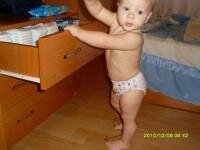 corni